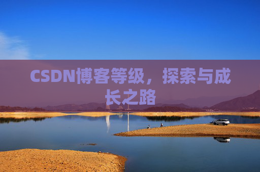 CSDN博客等级，探索与成长之路
